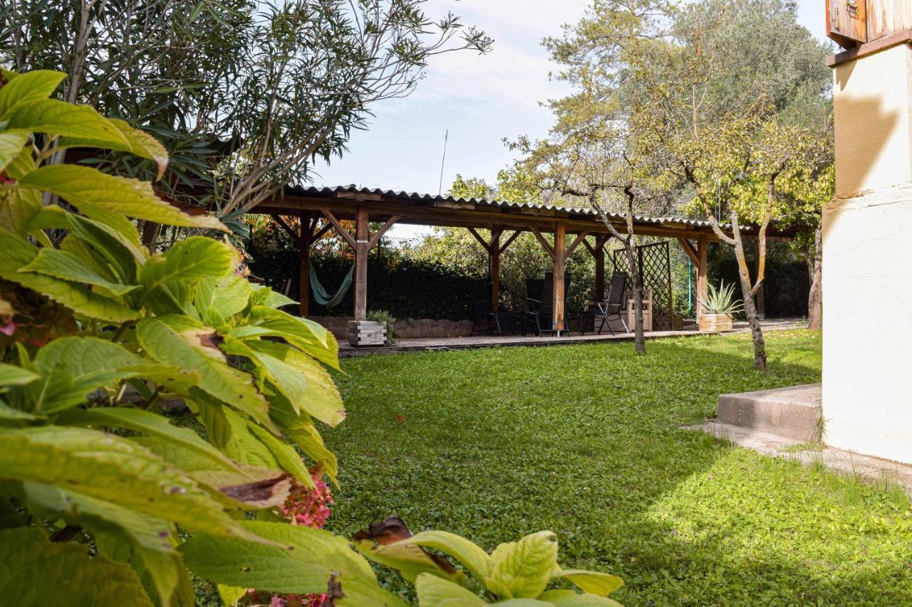 Can Camps Besalu Casa Planta Baja Con Jardin Buitenkant foto