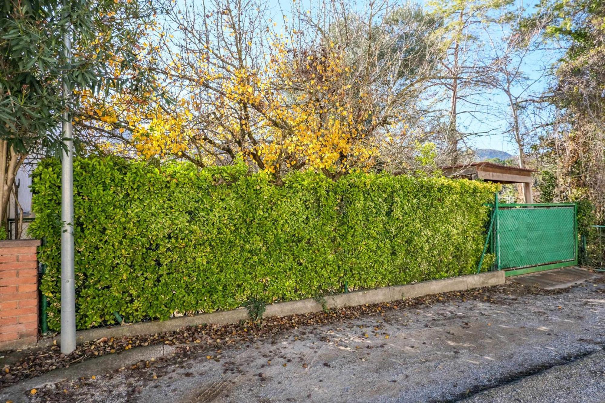 Can Camps Besalu Casa Planta Baja Con Jardin Buitenkant foto
